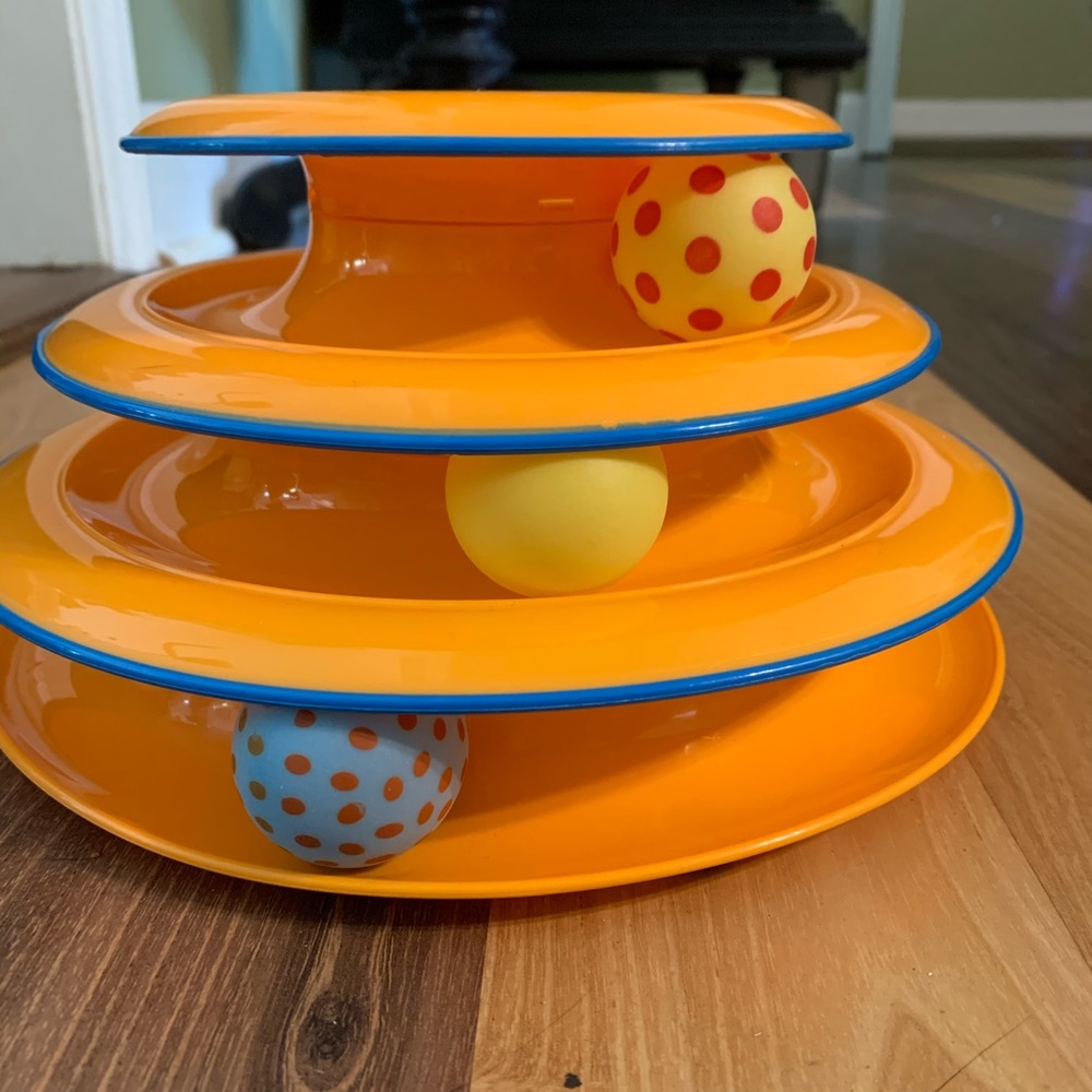 Cat toy